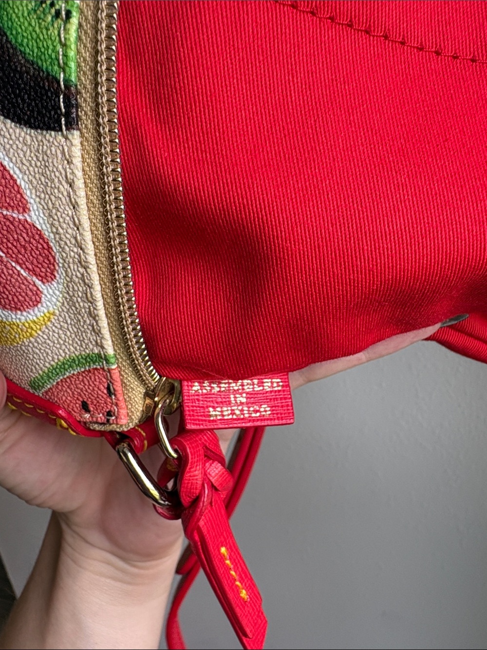 Dooney & Bourke Ambrosia Crossbody Bag Fruit Print Assembled in Mexico - Picture 4 of 5